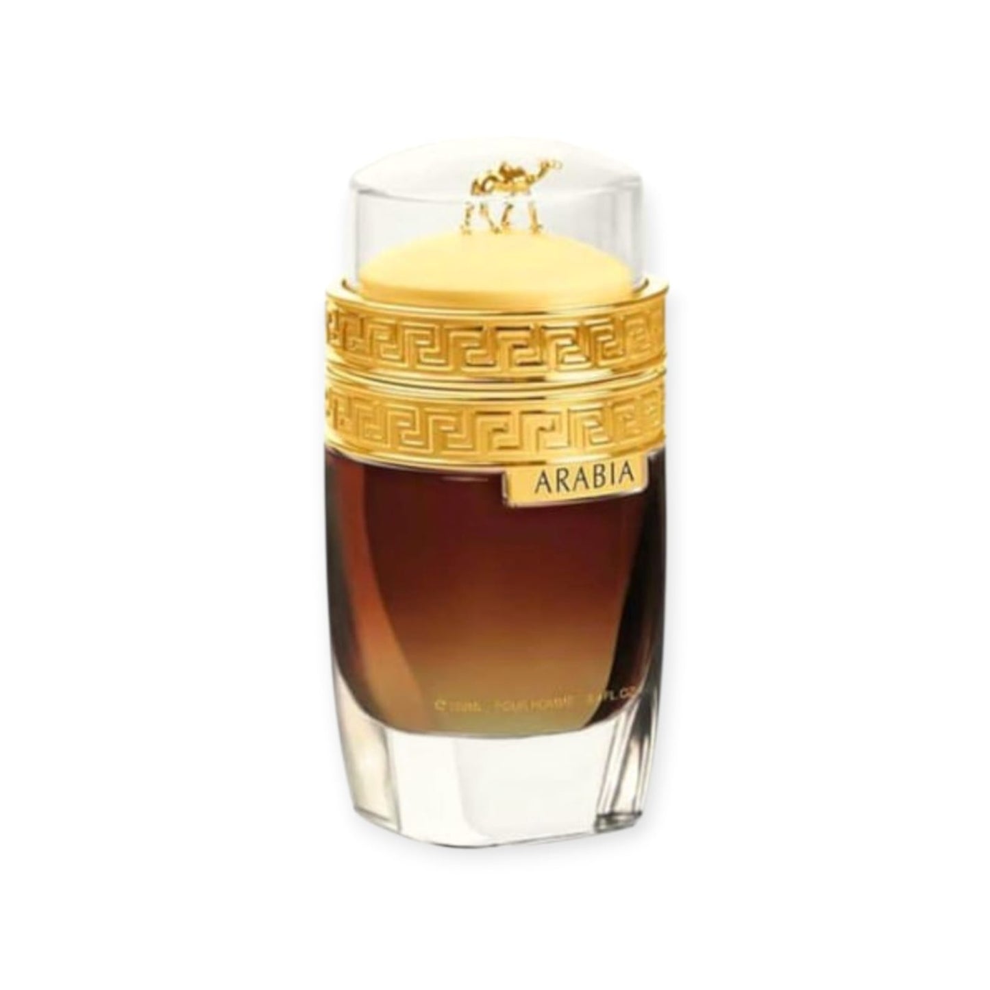 Arabia Pour Homme 100ml – Men’s Eau de Parfum