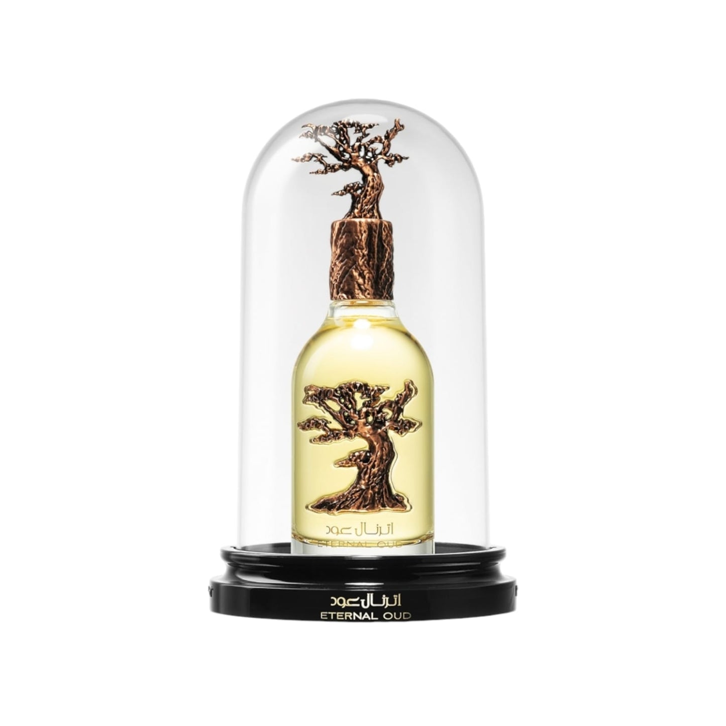 Eternal Oud 100ml – Rich Amber Unisex Fragrance