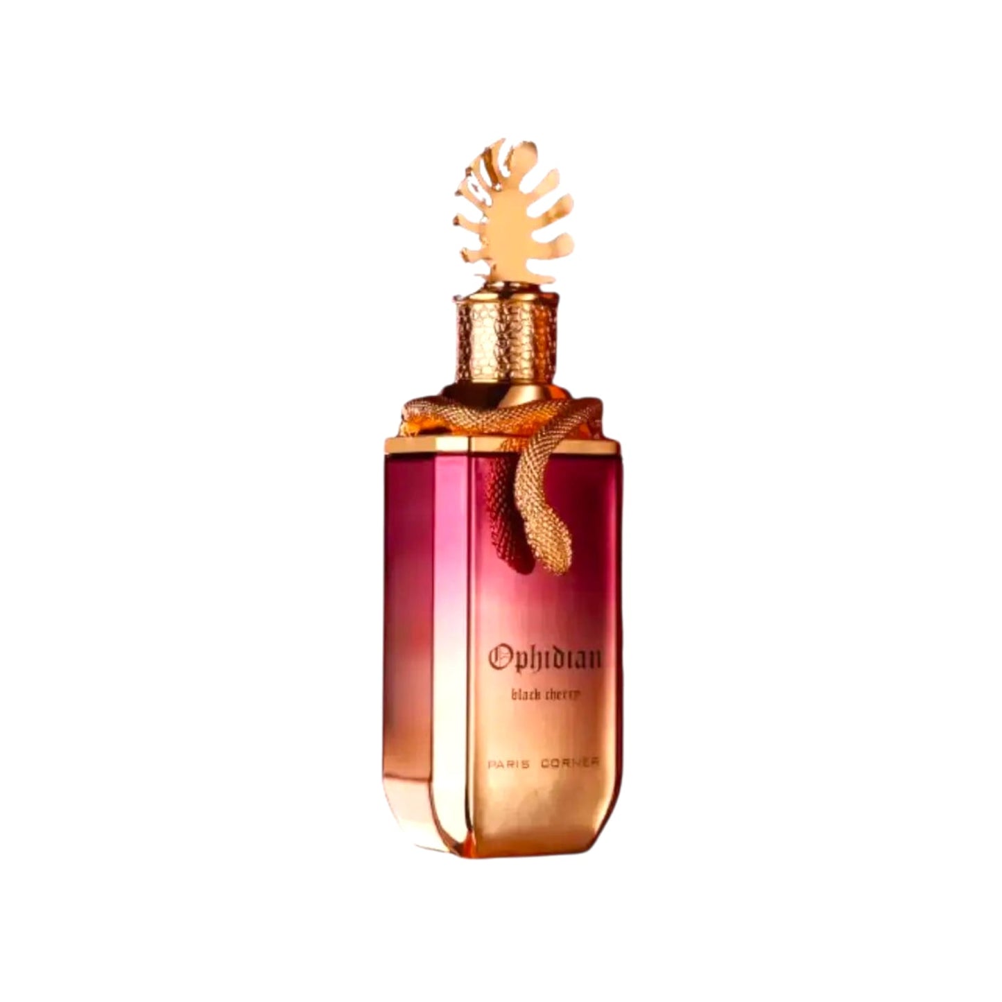 Ophidian Black Cherry 100ml – Paris Corner Unisex Eau de Parfum