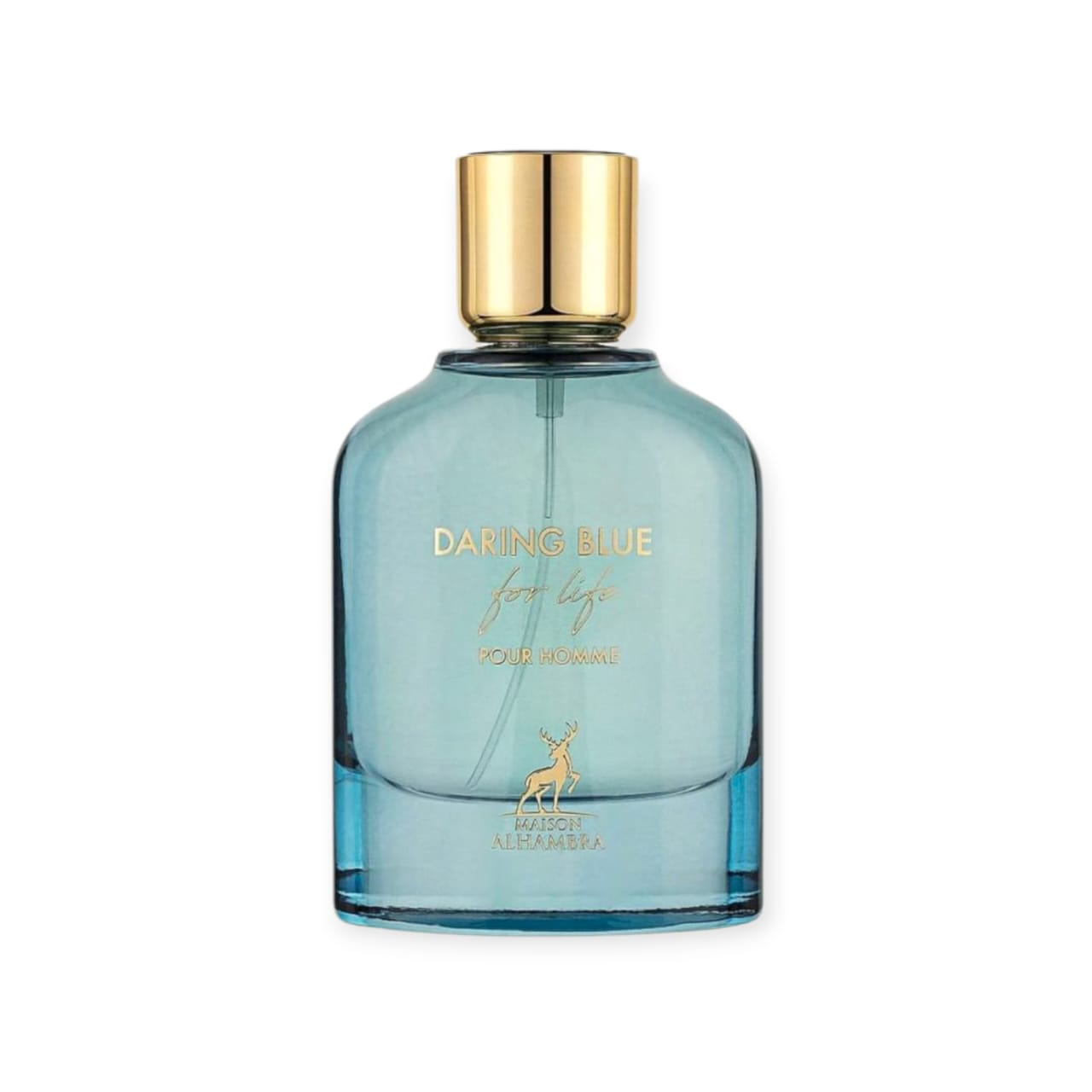 Daring Blue For Life 100ml – Maison Alhambra Men Perfume