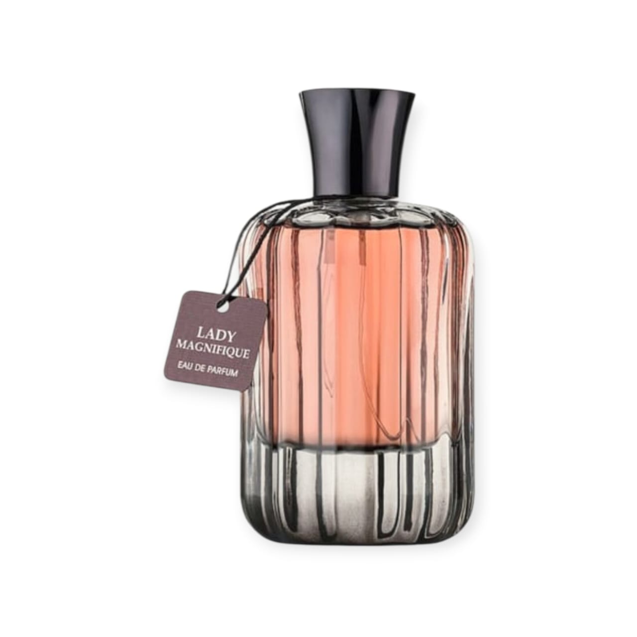 Lady Magnifique 100ml – Fragrance World Women Perfume