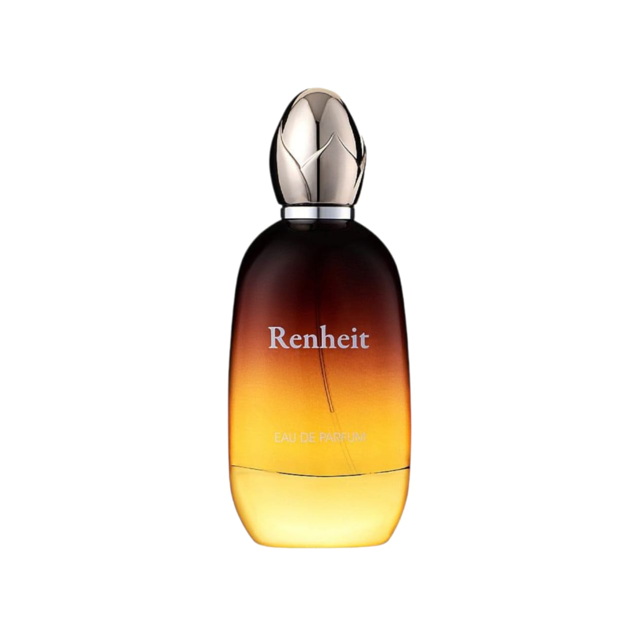 Renheit 100ml – Fragrance World Men’s Eau de Parfum